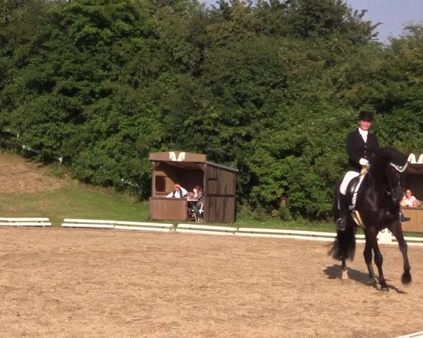 Reitturnier Vlotho-Exter 2018