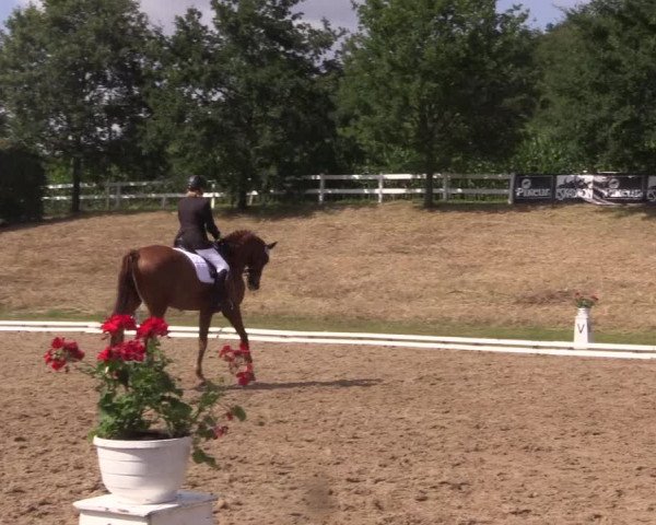 Reitturnier Vlotho-Exter 2018