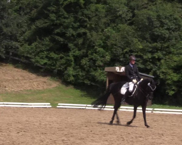 Reitturnier Vlotho-Exter 2018