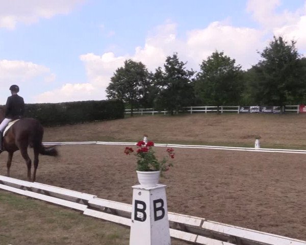 Reitturnier Vlotho-Exter 2018