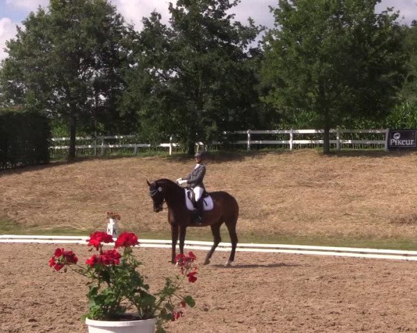 Reitturnier Vlotho-Exter 2018