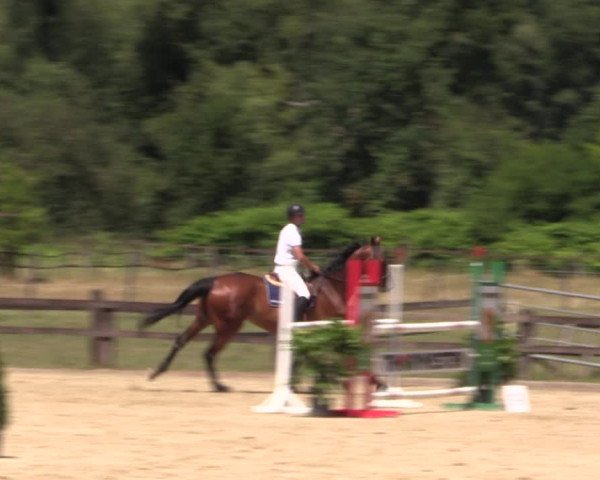 Reitturnier Hemer-Oese an der Edelburg 2018