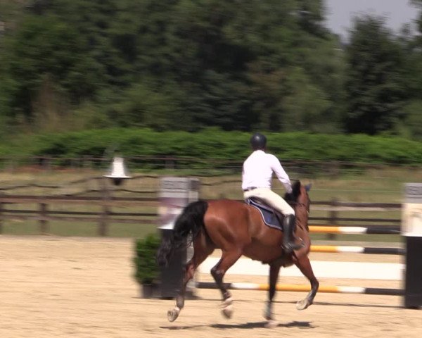 Reitturnier Hemer-Oese an der Edelburg 2018