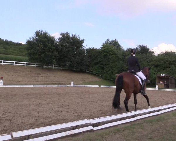Reitturnier Vlotho-Exter 2018