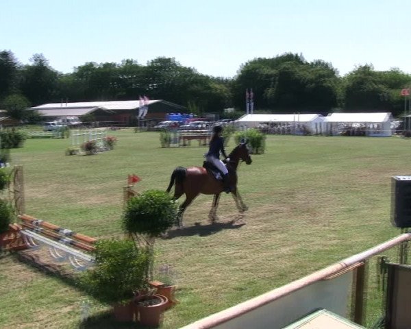 Reitturnier Hanerau-Hademarschen 2018