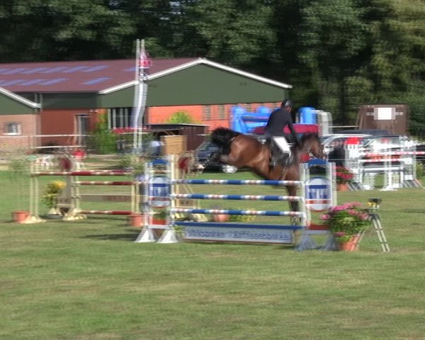 Reitturnier Hanerau-Hademarschen 2018
