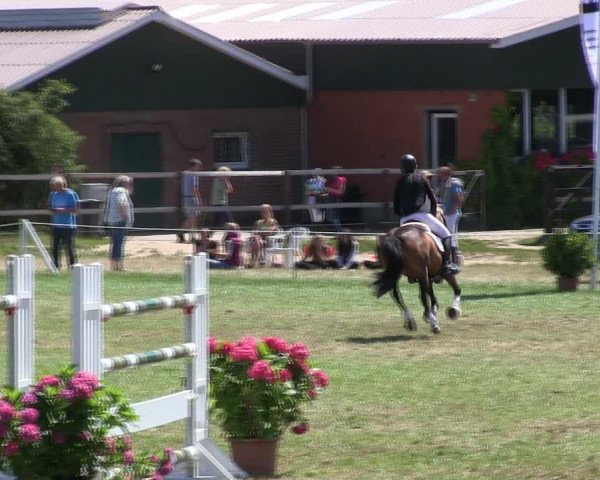 Reitturnier Hanerau-Hademarschen 2018