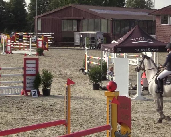 Reitturnier Wietmarschen 2018