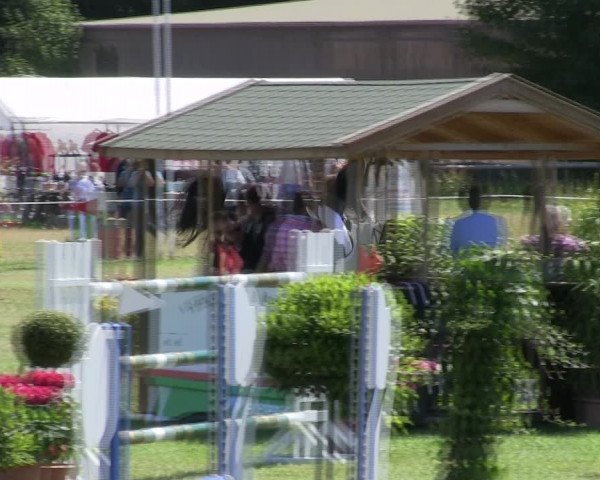 Reitturnier Hanerau-Hademarschen 2018
