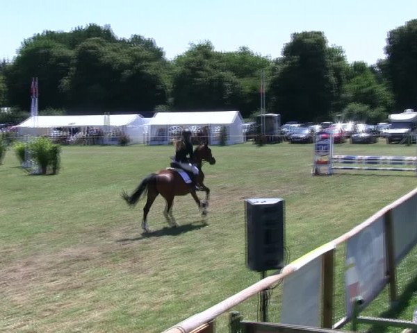 Reitturnier Hanerau-Hademarschen 2018