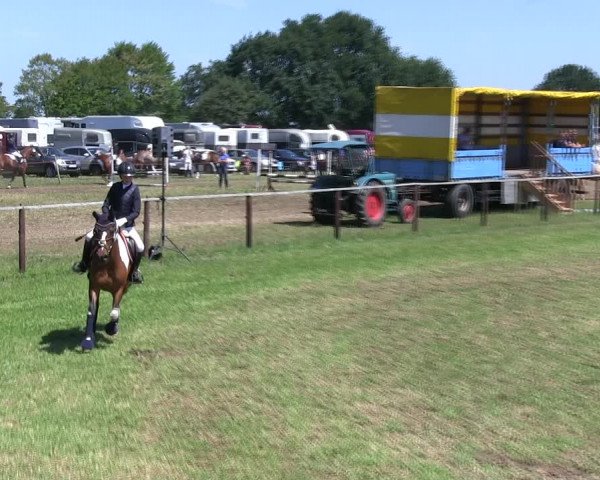 Reitturnier Hanerau-Hademarschen 2018