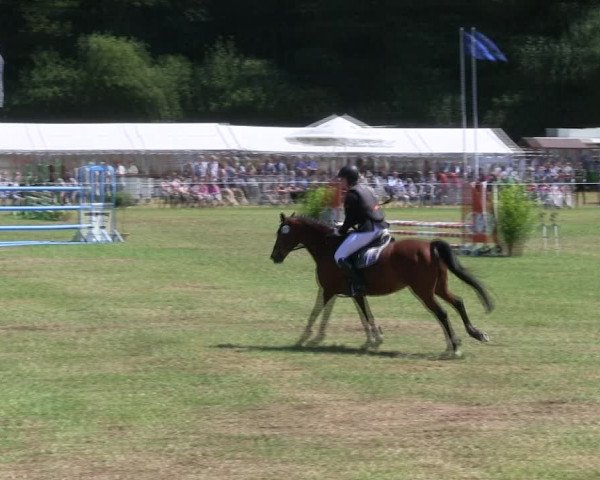 Reitturnier Hanerau-Hademarschen 2018