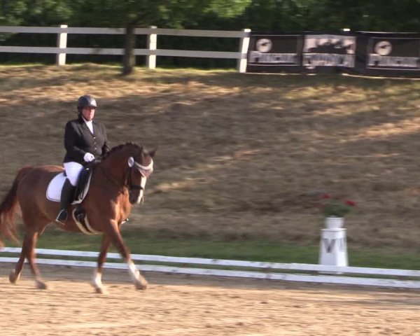 Reitturnier Vlotho-Exter 2018