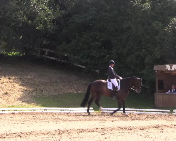 Reitturnier Vlotho-Exter 2018