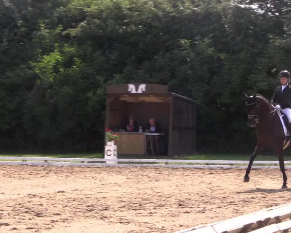 Reitturnier Vlotho-Exter 2018