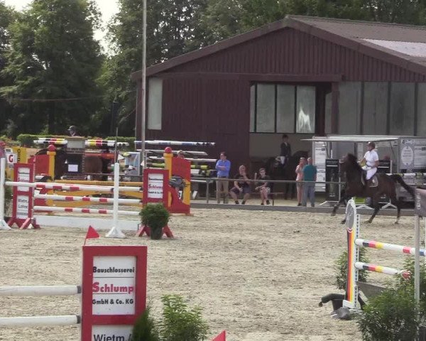 Reitturnier Wietmarschen 2018
