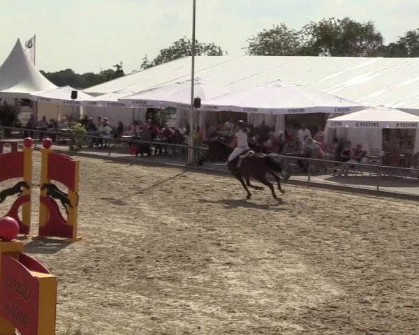 Reitturnier Wietmarschen 2018