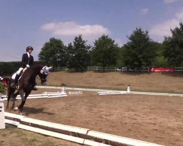 Reitturnier Vlotho-Exter 2018