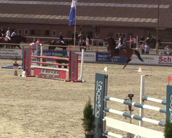 Reitturnier Wietmarschen 2018