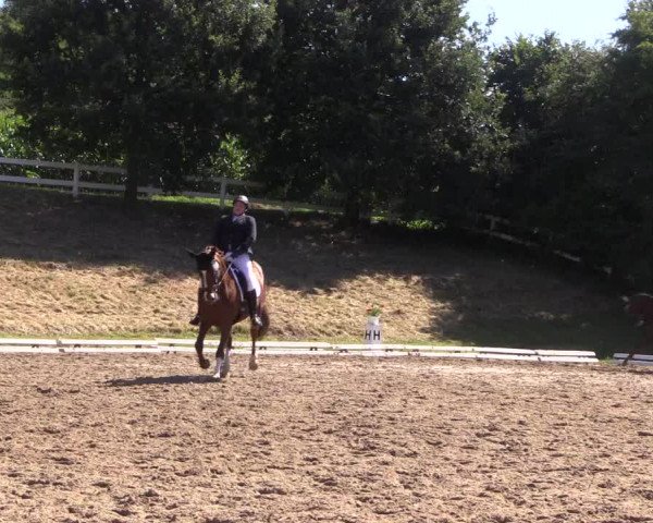 Reitturnier Vlotho-Exter 2018