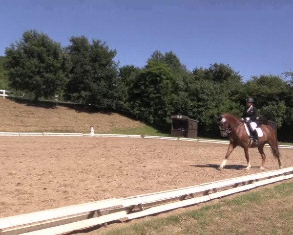 Reitturnier Vlotho-Exter 2018
