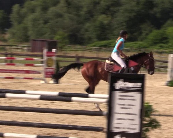 Reitturnier Hemer-Oese an der Edelburg 2018