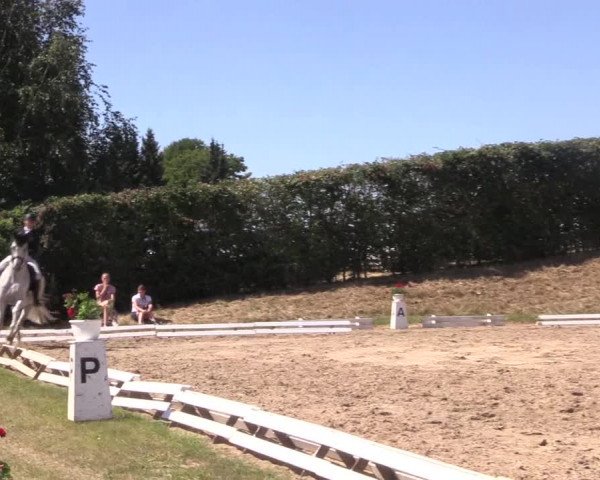 Reitturnier Vlotho-Exter 2018