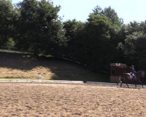 Reitturnier Vlotho-Exter 2018