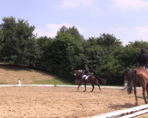 Reitturnier Vlotho-Exter 2018