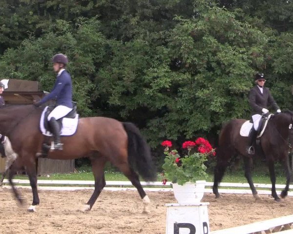 Reitturnier Vlotho-Exter 2018