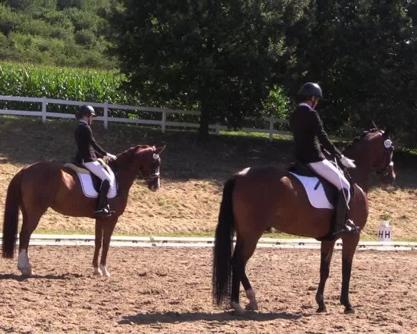 Reitturnier Vlotho-Exter 2018