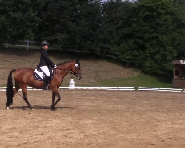 Reitturnier Vlotho-Exter 2018