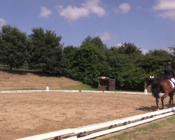 Reitturnier Vlotho-Exter 2018