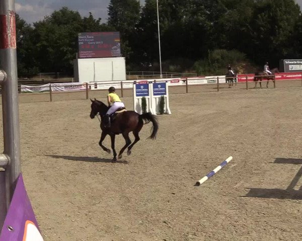 Reitturnier Wietmarschen 2018