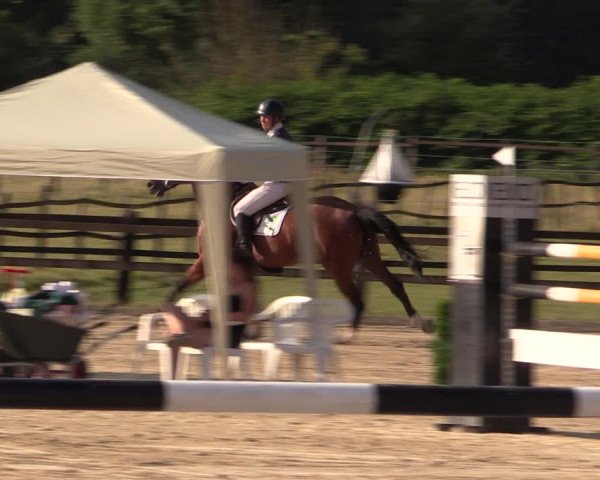 Reitturnier Hemer-Oese an der Edelburg 2018