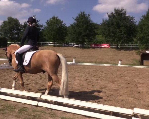 Reitturnier Vlotho-Exter 2018