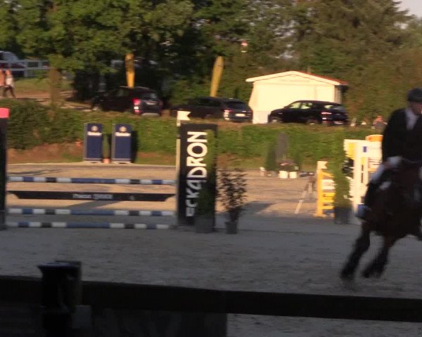 Reitturnier Vlotho-Exter 2018