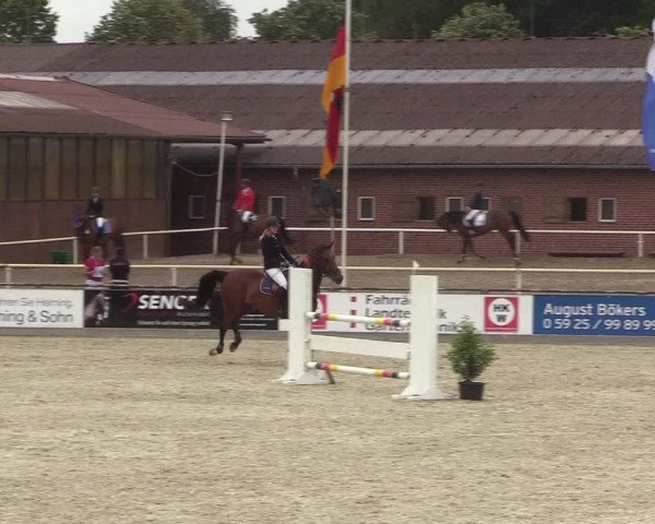 Reitturnier Wietmarschen 2018