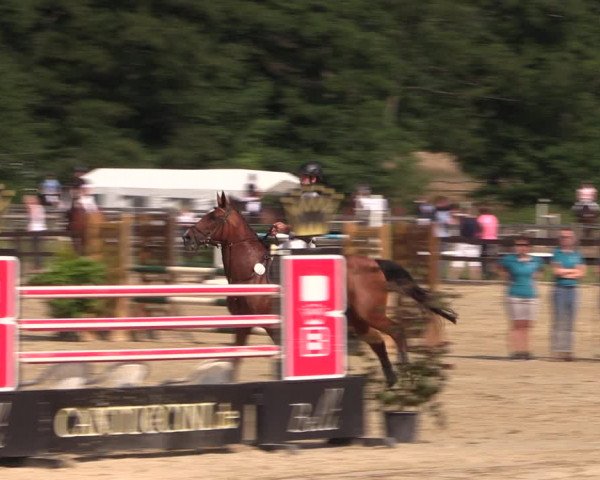 Reitturnier Hemer-Oese an der Edelburg 2018