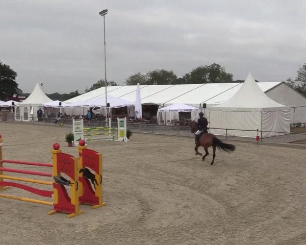 Reitturnier Wietmarschen 2018