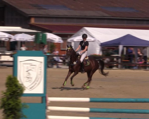 Reitturnier Hemer-Oese an der Edelburg 2018