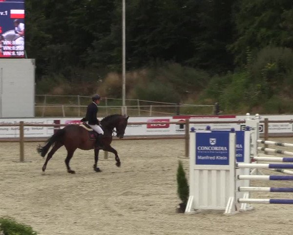 Reitturnier Wietmarschen 2018