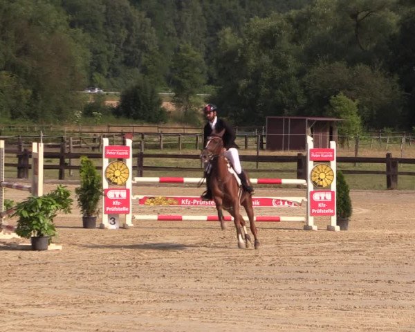 Reitturnier Hemer-Oese an der Edelburg 2018