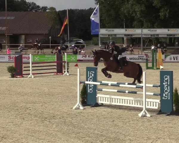 Reitturnier Wietmarschen 2018