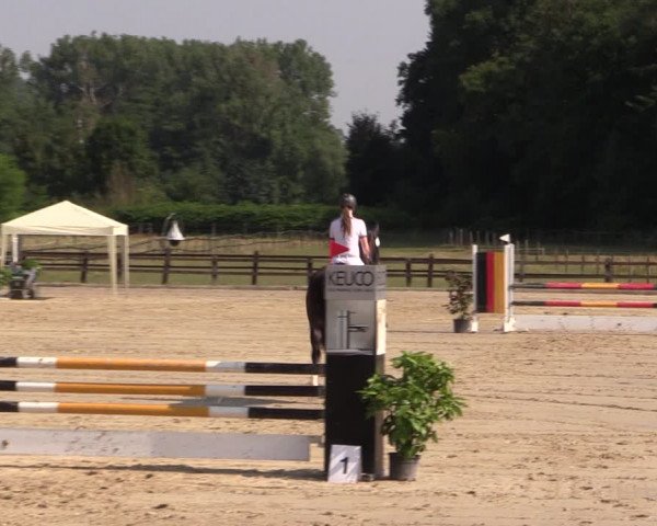Reitturnier Hemer-Oese an der Edelburg 2018