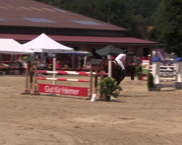 Reitturnier Hemer-Oese an der Edelburg 2018