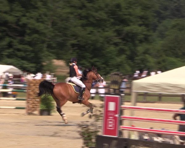 Reitturnier Hemer-Oese an der Edelburg 2018