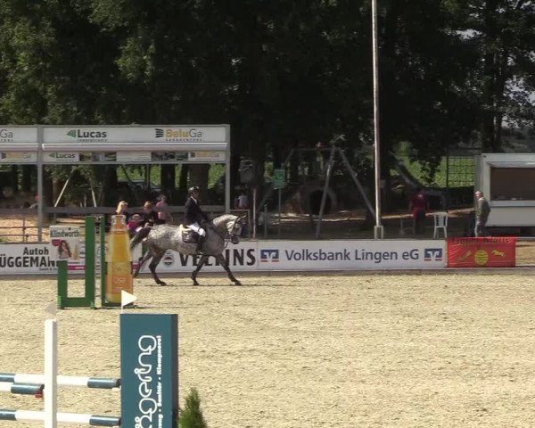 Reitturnier Wietmarschen 2018
