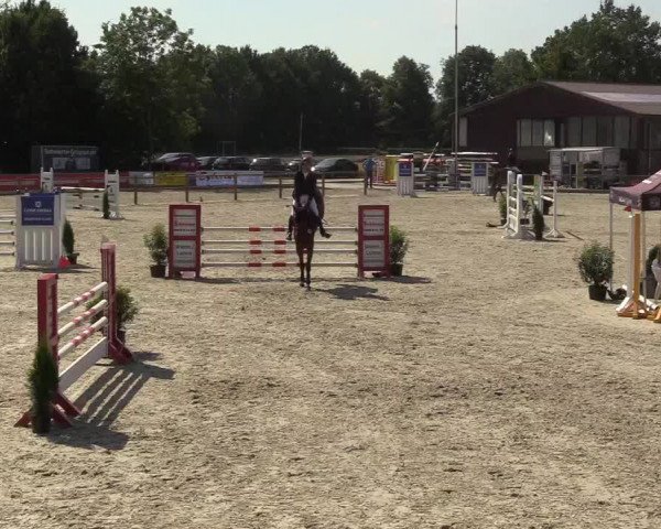 Reitturnier Wietmarschen 2018