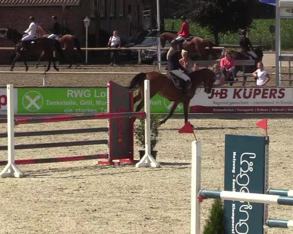 Reitturnier Wietmarschen 2018